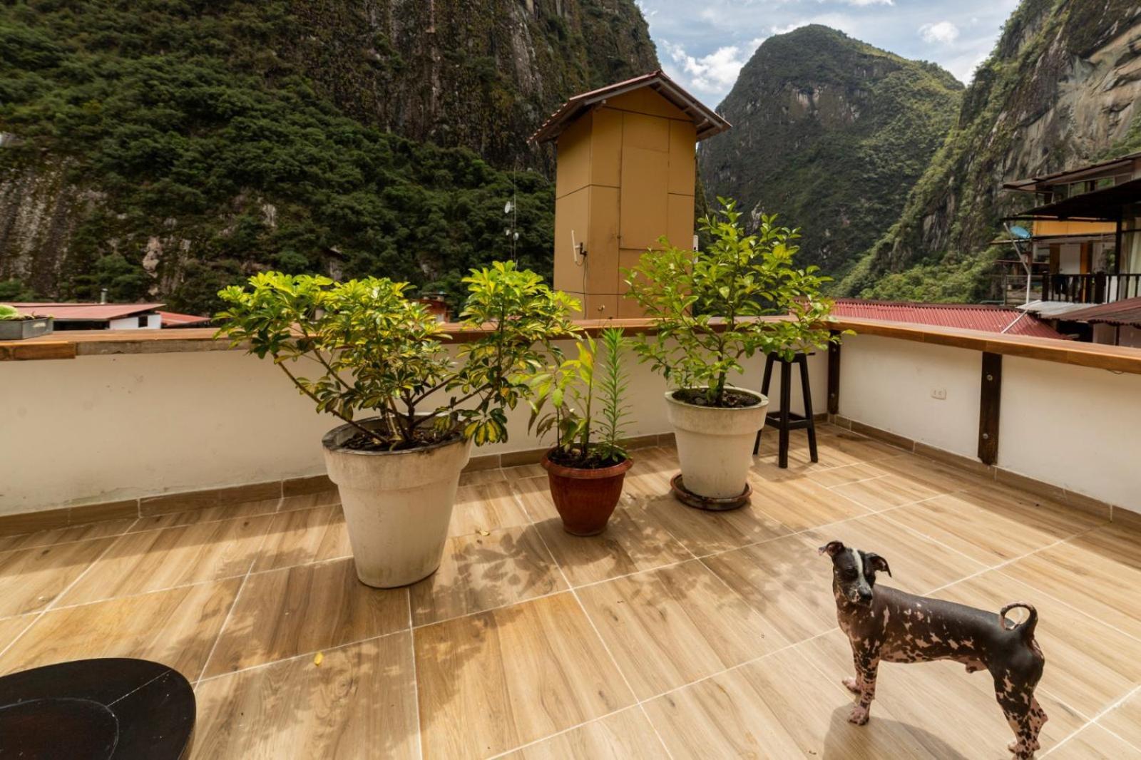 Gringo Bill'S Boutique Hotel Machu Picchu Exteriör bild